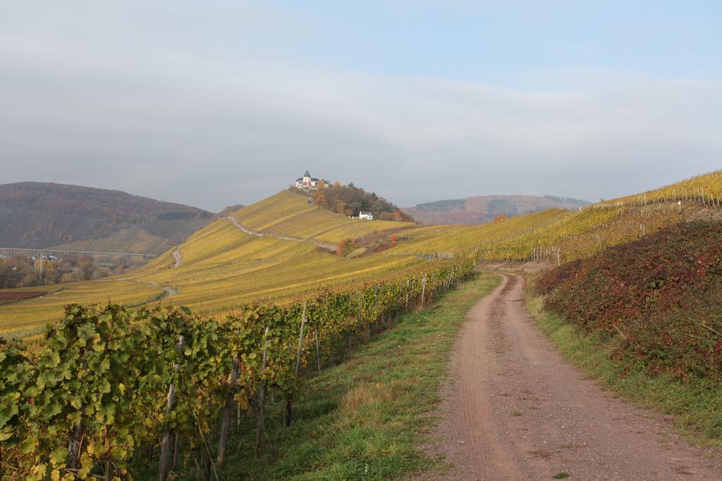 Weingut Pension Gibbert-Pohl Briedel Ngoại thất bức ảnh