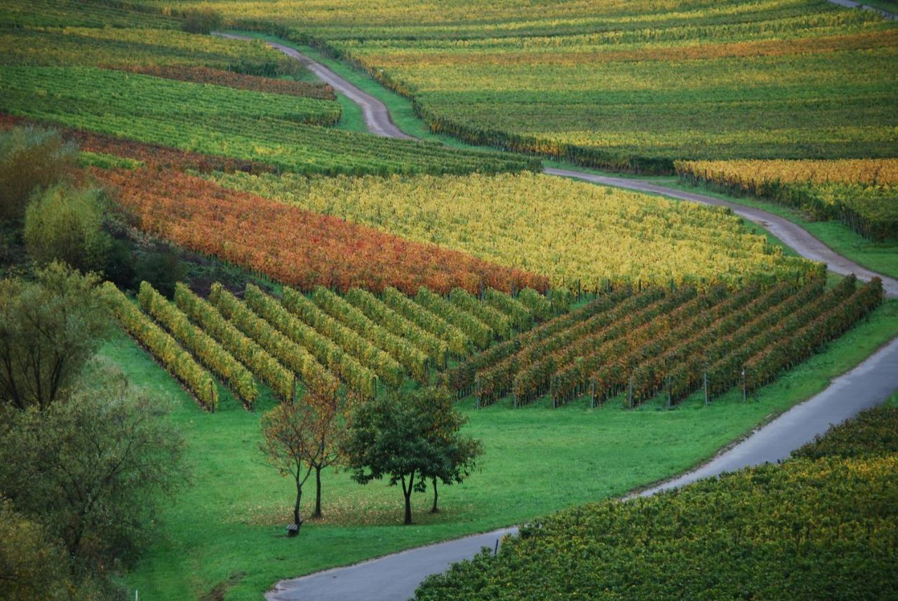 Weingut Pension Gibbert-Pohl Briedel Ngoại thất bức ảnh