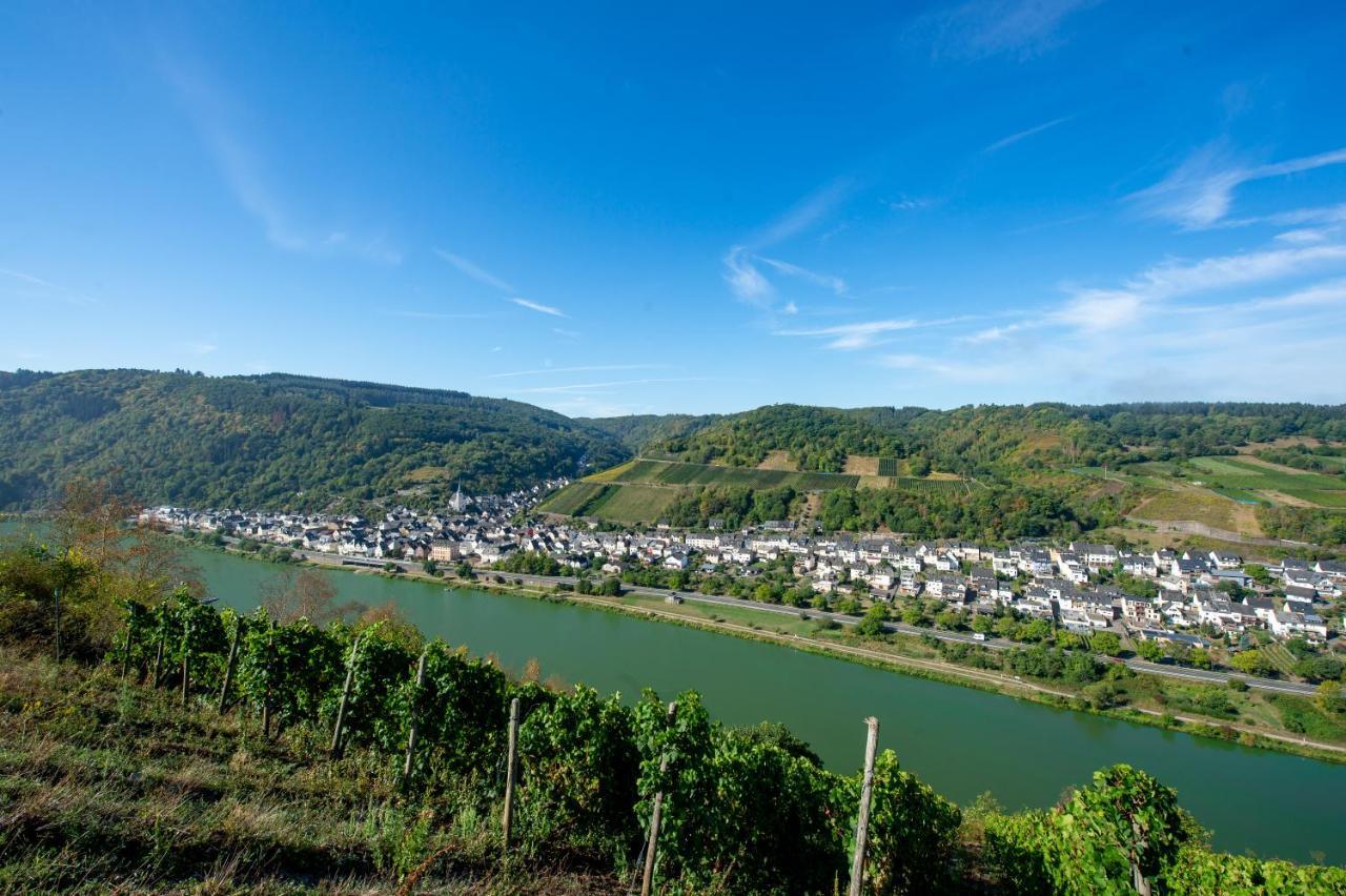 Weingut Pension Gibbert-Pohl Briedel Ngoại thất bức ảnh