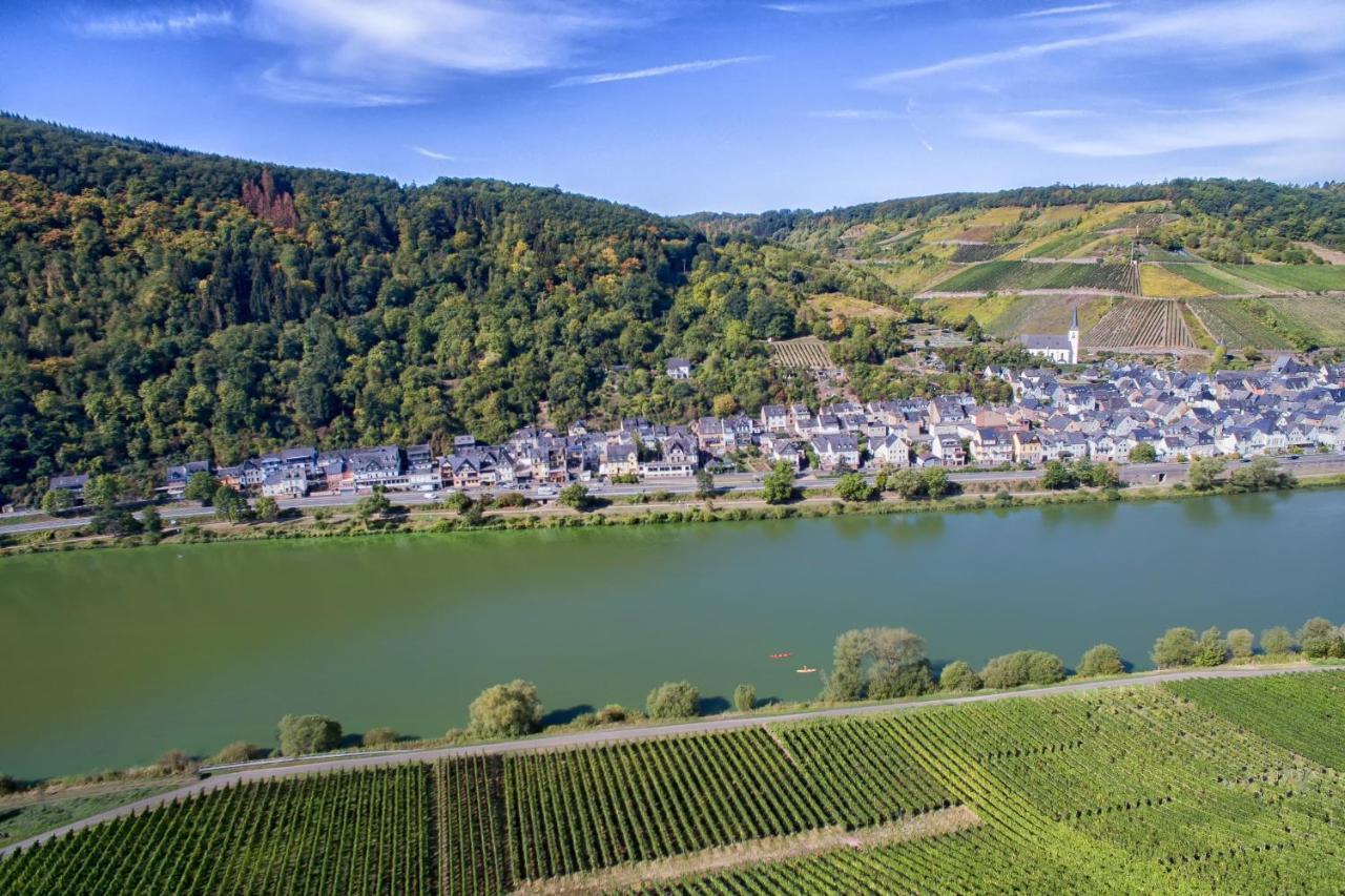 Weingut Pension Gibbert-Pohl Briedel Ngoại thất bức ảnh